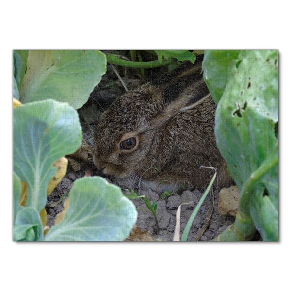 Produktbild: Lais Puzzle Hase 1000 Teile