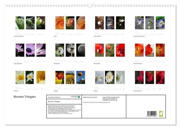 Produktbild: Blumen Trilogien (Wandkalender 2026 DIN A2 quer), CALVENDO Monatskalender