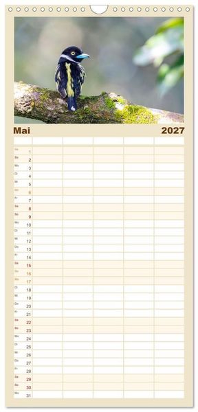 Produktbild: Familienplaner 2027 - Zwischen Nebel und Baumriesen - V&ouml;gel Borneos mit 5 Spalten (Wandkalender, 21 x 45 cm) CALVENDO