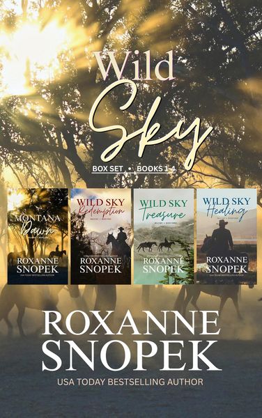 Produktbild: Wild Sky Romance Collection