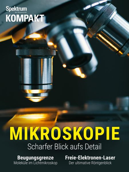 Produktbild: Spektrum Kompakt - Mikroskopie