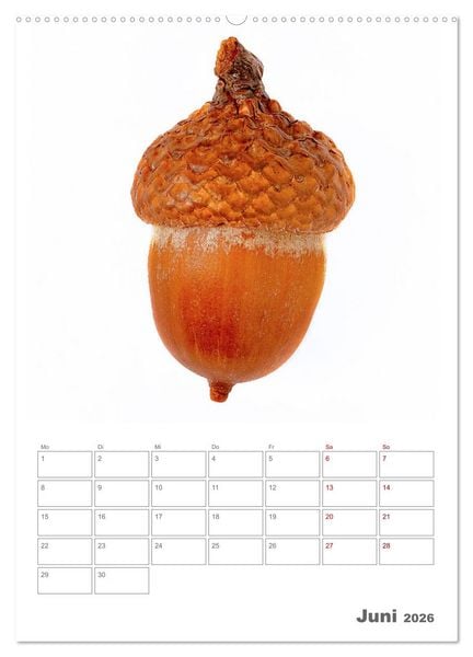 Produktbild: Planen mit dem Symbol der inneren St&auml;rke (hochwertiger Premium Wandkalender 2026 DIN A2 hoch), Kunstdruck in Hochglanz