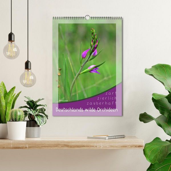 Produktbild: Deutschlands wilde Orchideen (Wandkalender 2026 DIN A3 hoch), CALVENDO Monatskalender