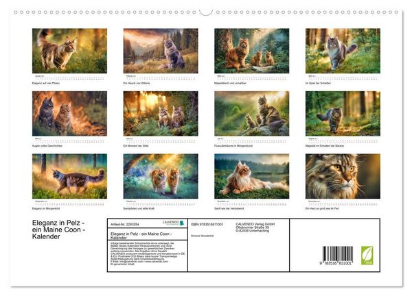 Produktbild: Eleganz in Pelz - ein Maine Coon - Kalender (hochwertiger Premium Wandkalender 2027 DIN A2 quer), Kunstdruck in Hochglanz