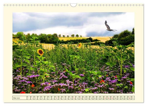 Produktbild: Mein sch&ouml;nes Land - Landliebe Wetterau (Wandkalender 2026 DIN A3 quer), CALVENDO Monatskalender