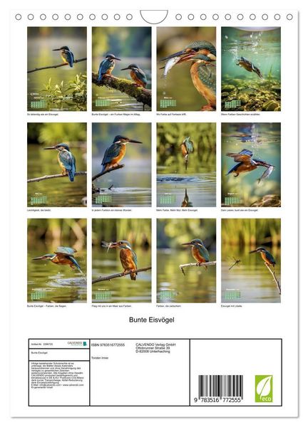 Produktbild: Bunte Eisv&ouml;gel (Wandkalender 2027 DIN A4 hoch), CALVENDO Monatskalender