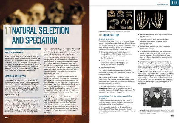 Produktbild: AQA A Level Biology Year 2 Student Book