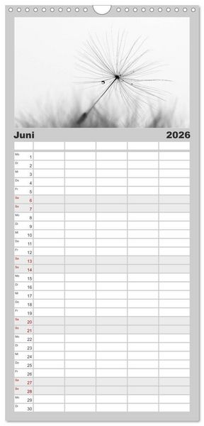 Produktbild: Familienplaner 2026 - Pusteblume - Impressionen in schwarzwei&szlig; mit 5 Spalten (Wandkalender, 21 x 45 cm) CALVENDO