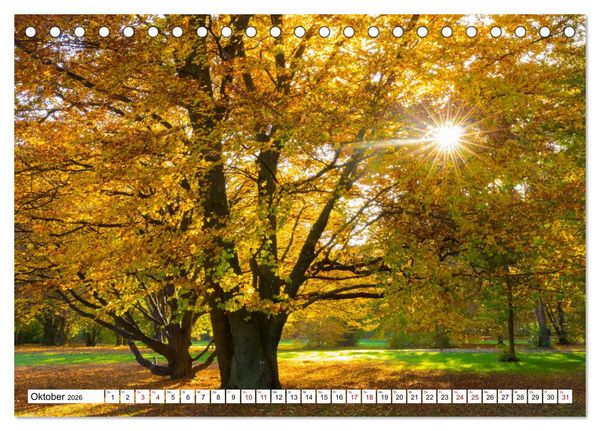 Produktbild: F&uuml;rstenfeldbruck - Streifzug durch Natur und Stadt (Tischkalender 2026 DIN A5 quer), CALVENDO Monatskalender