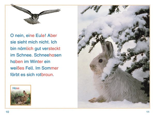 Produktbild: SUPERLESER! Tiere, top getarnt