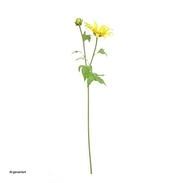 Produktbild: HTI-Living HTI-Living Fr&uuml;hlingsblume 74 cm Kunstblume Flora