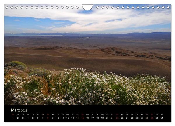 Produktbild: Im Nationalpark Torres del Paine (Chile) (Wandkalender 2026 DIN A4 quer), CALVENDO Monatskalender