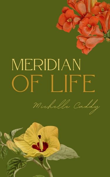 Produktbild: Meridian of Life