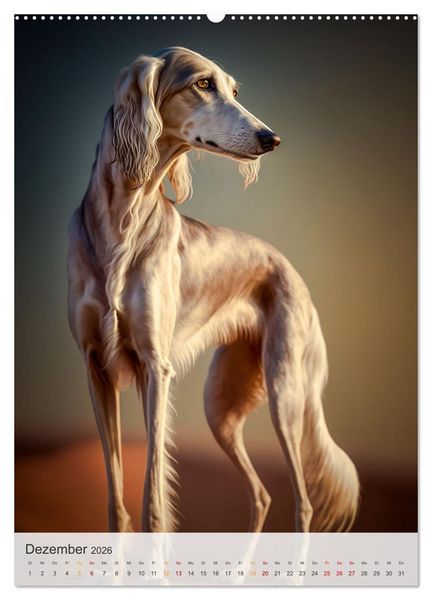 Produktbild: Persischer Windhund (Wandkalender 2026 DIN A2 hoch), CALVENDO Monatskalender