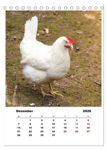 Produktbild: Bauernhoftiere, ganz nah dran (Tischkalender 2026 DIN A5 hoch), CALVENDO Monatskalender