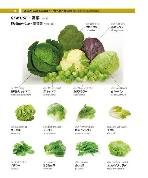 Produktbild: PONS Bildw&ouml;rterbuch Japanisch