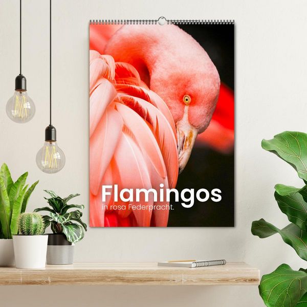 Produktbild: Flamingos in rosa Federpracht. (Wandkalender 2026 DIN A2 hoch), CALVENDO Monatskalender