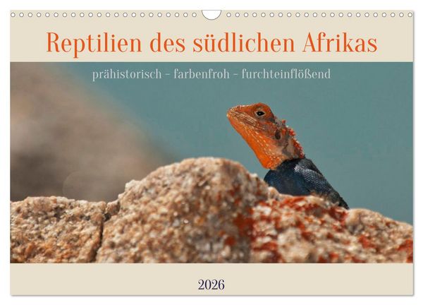 Reptilien des südlichen Afrikas (Wandkalender 2026 DIN A3 quer), CALVENDO Monatskalender