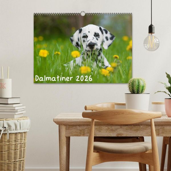 Produktbild: Dalmatiner 2026 (Wandkalender 2026 DIN A3 quer), CALVENDO Monatskalender