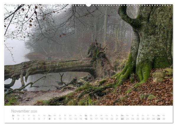 Produktbild: Zauberhafte Schlei (Wandkalender 2026 DIN A2 quer), CALVENDO Monatskalender