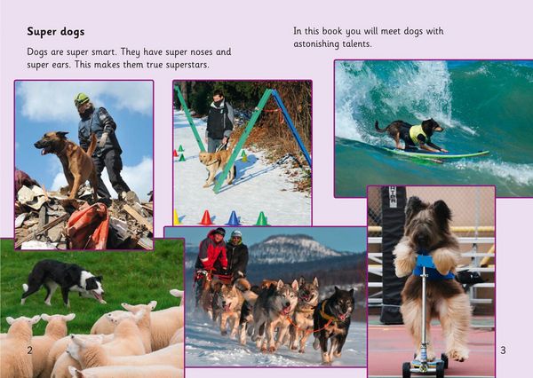 Produktbild: Super Dogs