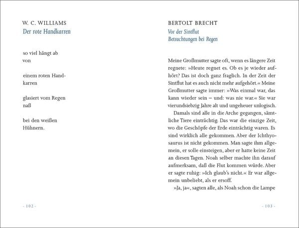 Produktbild: &raquo;Ein kleiner Regen macht nicht nass&laquo;
