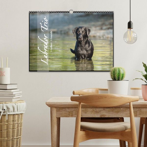 Produktbild: Labrador Trio - 3 Farben, 3 Freunde (Wandkalender 2026 DIN A3 quer), CALVENDO Monatskalender