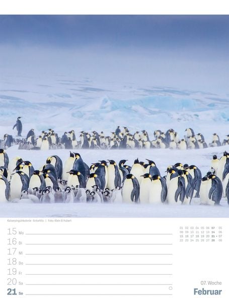 Produktbild: Planet Erde Wochenplaner Kalender 2027 | Landschaften der Welt