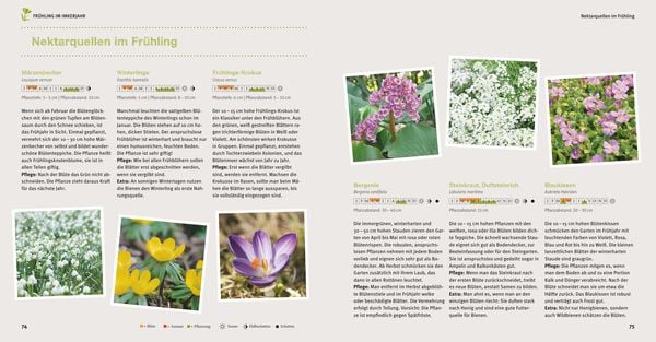 Bienen Basics