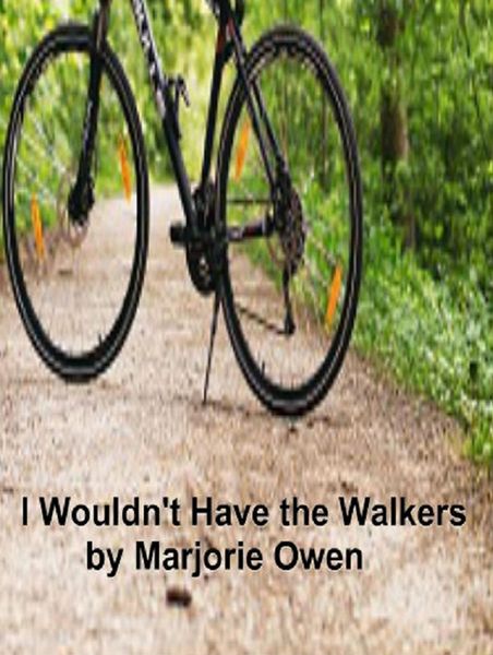 Produktbild: I Wouldn't Have the Walkers