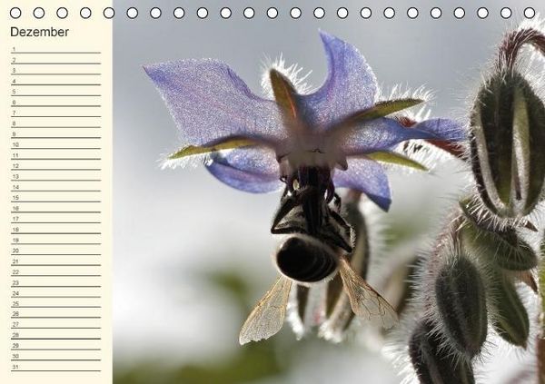 Produktbild: Geburtstagskalender "Nette Kleinigkeiten" (Tischkalender immerw&auml;hrend DIN A5 quer)