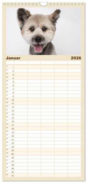 Produktbild: Familienplaner 2026 - Kleine Hunde - Gro&szlig;e Blicke mit 5 Spalten (Wandkalender, 21 x 45 cm) CALVENDO