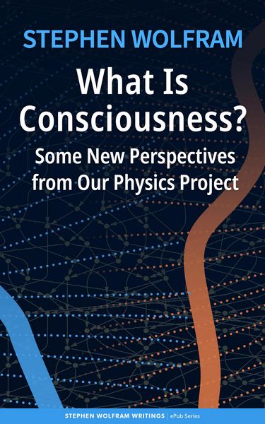 Produktbild: What Is Consciousness?