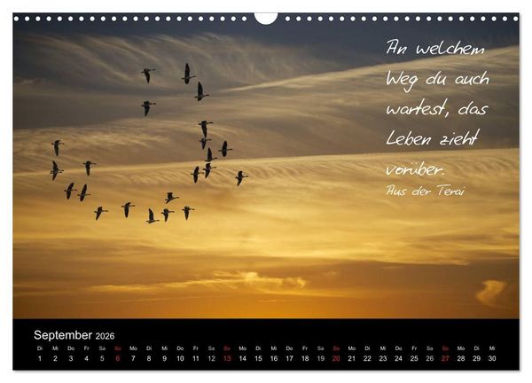 Produktbild: Poetische Wege (Wandkalender 2026 DIN A3 quer), CALVENDO Monatskalender