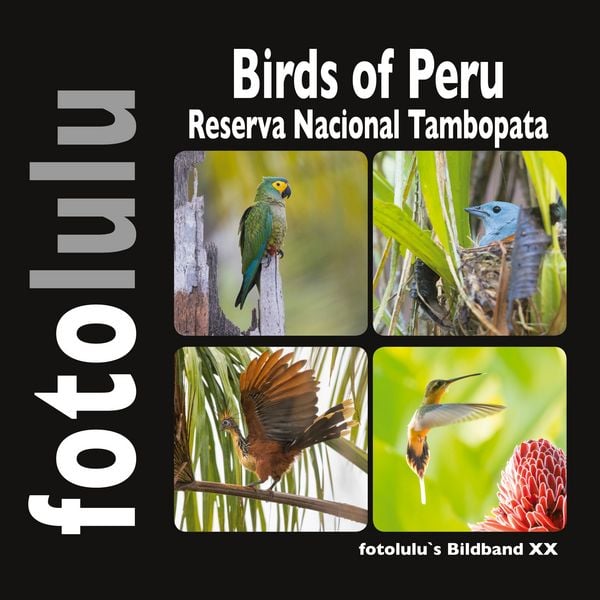 Produktbild: Birds of Peru