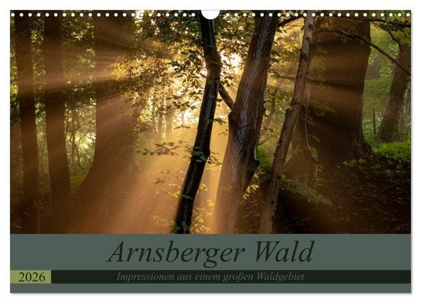 Produktbild: Arnsberger Wald (Wandkalender 2026 DIN A3 quer), CALVENDO Monatskalender