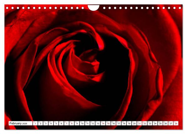Produktbild: Fascinating colours of flowers (Wall Calendar 2026 DIN A4 landscape), CALVENDO 12 Month Wall Calendar