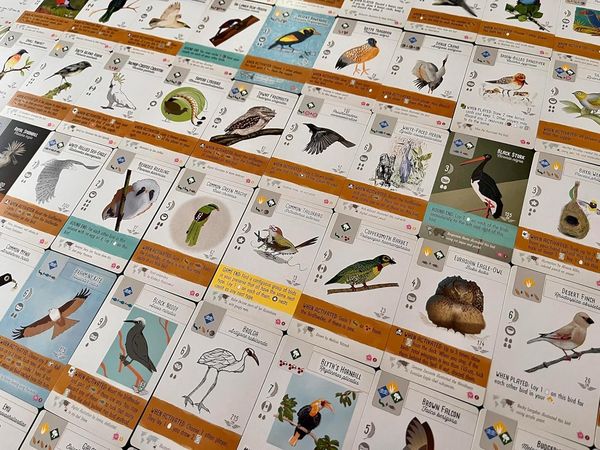 Produktbild: Stonemaier Games - Wingspan - Fan Art Pack (englische Version)