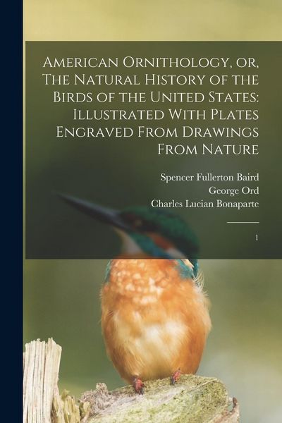 Produktbild: American Ornithology, or, The Natural History of the Birds of the United States: Illustrated With Plates Engraved From Drawings From Nature: 1