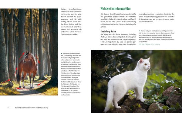 Produktbild: Haustiere perfekt fotografieren