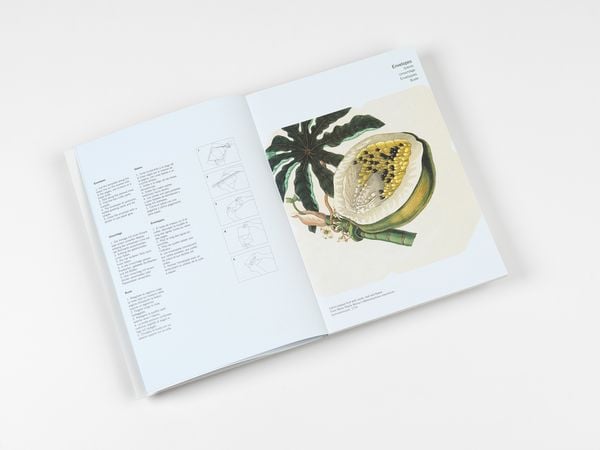 Produktbild: Natural History