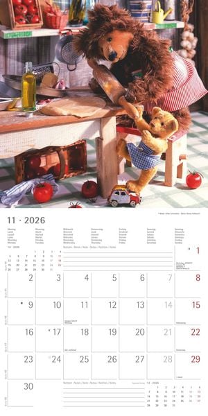 Produktbild: Teddy 2026 - Broschürenkalender 30x30 cm (30x60 geöffnet) - Kalender mit Platz für Notizen - Bildkalender - Wandkalender - mit herausnehmbarem Poster