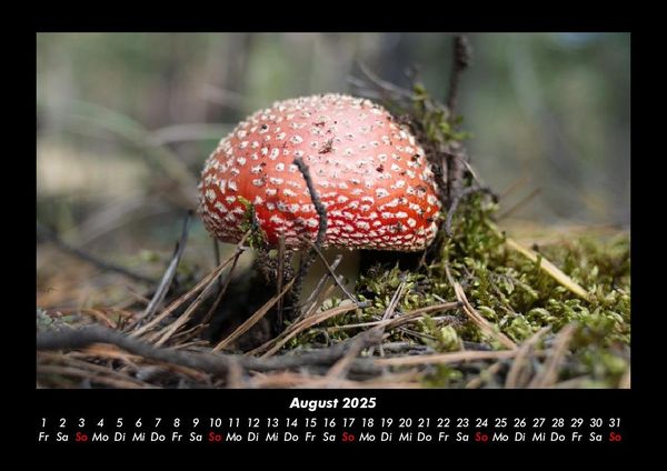 Produktbild: Waldzauber 2025 Fotokalender DIN A3