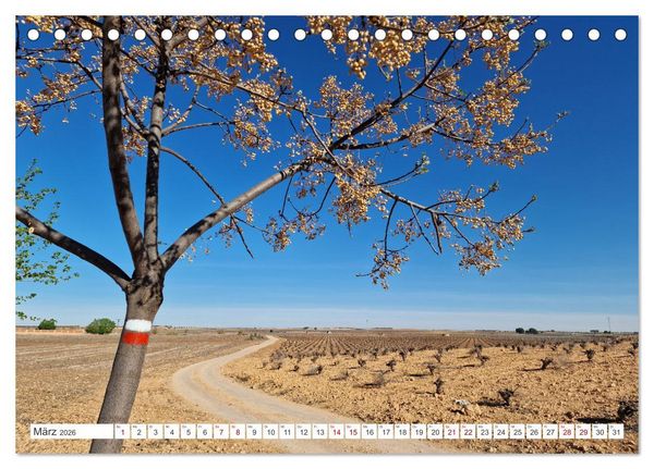 Produktbild: Camino Levante - magische Momente auf stillen Wegen (Tischkalender 2026 DIN A5 quer), CALVENDO Monatskalender