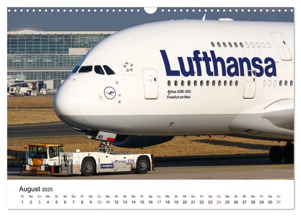 Produktbild: SUPERJUMBOS (Wandkalender 2025 DIN A3 quer), CALVENDO Monatskalender