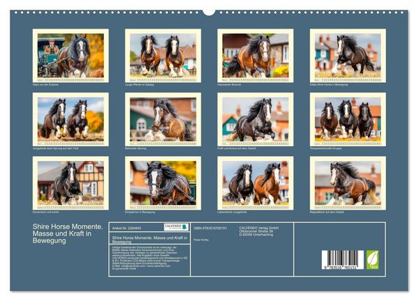Produktbild: Shire Horse Momente. Masse und Kraft in Bewegung (hochwertiger Premium Wandkalender 2027 DIN A2 quer), Kunstdruck in Hochglanz