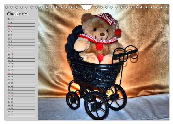 Produktbild: TEDDYB&Auml;R, OH TEDDYB&Auml;R... (Wandkalender 2026 DIN A4 quer), CALVENDO Monatskalender