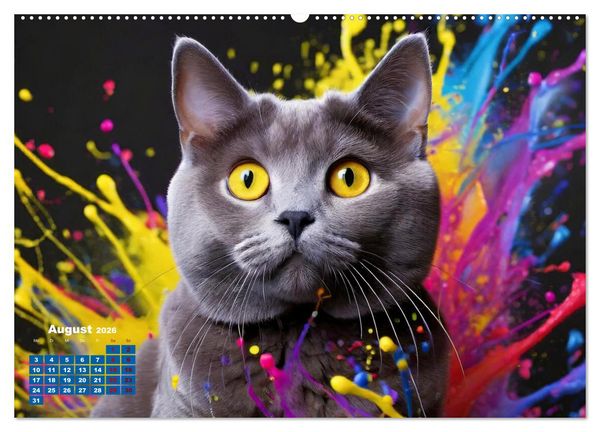 Produktbild: Splash - Katzen im Farbrausch (hochwertiger Premium Wandkalender 2026 DIN A2 quer), Kunstdruck in Hochglanz