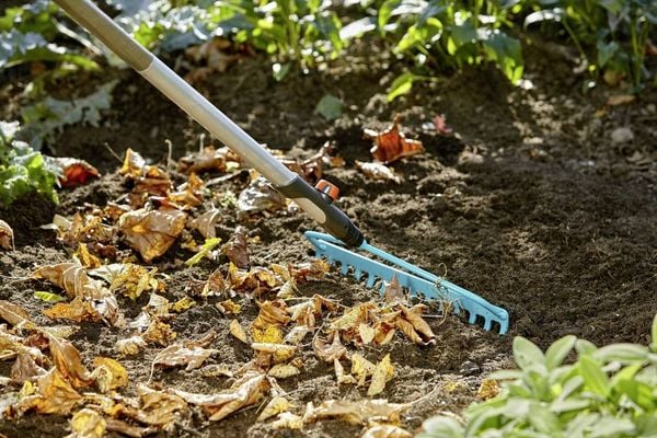 Produktbild: Gardena combisystem B&uuml;gelrechen 03168-20 36 cm