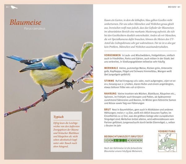 Produktbild: Gartenv&ouml;gel
